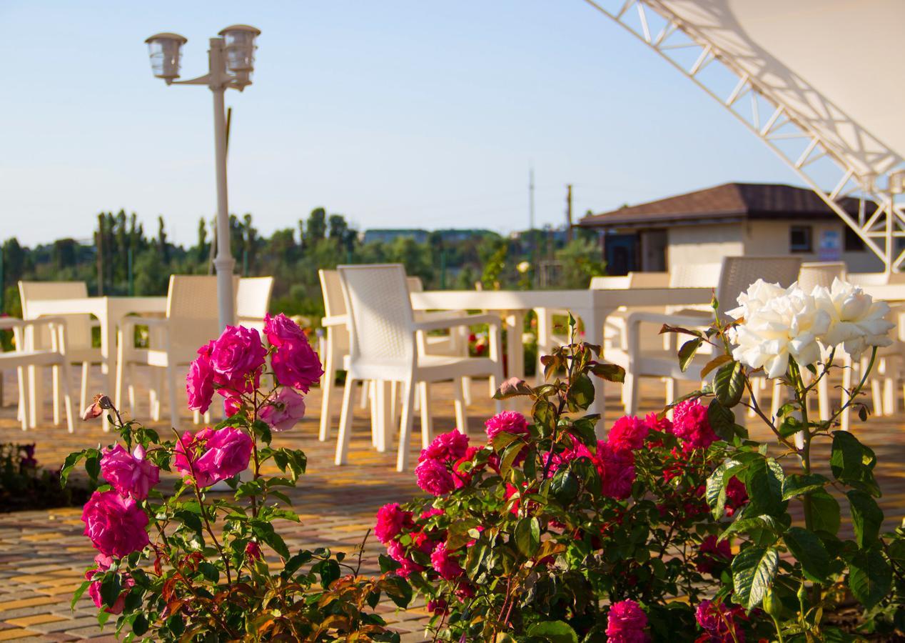 Hotel Promenad Zatoka Extérieur photo